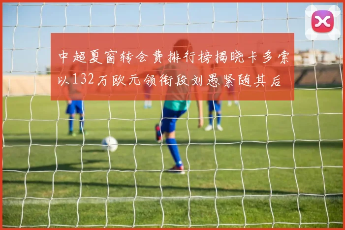 中超夏窗转会费排行榜揭晓卡多索以132万欧元领衔段刘愚紧随其后